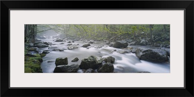 River flowing through the forest, Little Pigeon River, Great Smoky Mountains National Park, Tennessee