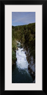 River passing through a forest, L'Eau d'Or Falls, Tallulah River, Clayton, Rabun County, Georgia