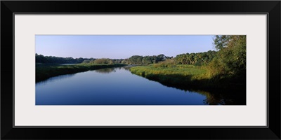 River passing through a forest, Myakka River, Myakka River State Park, Sarasota, Sarasota County, Florida,