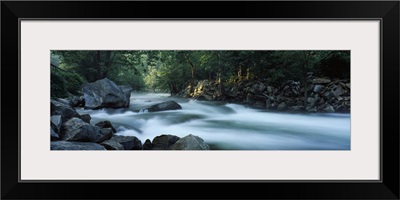 River passing through a forest, Nantahala Falls, Nantahala National Forest, North Carolina