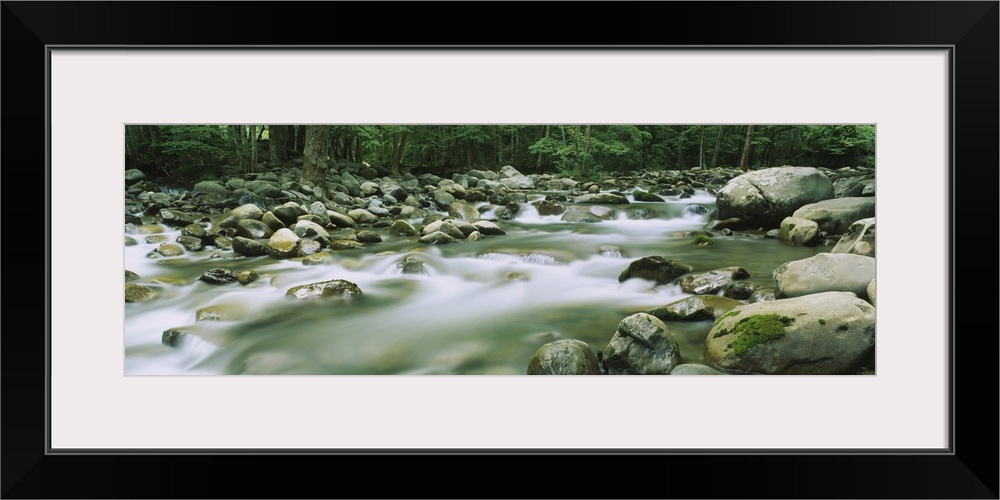 River running through a forest, Little Pigeon River, Great Smoky Mountains National Park, Tennessee