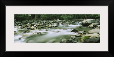 River running through a forest, Little Pigeon River, Great Smoky Mountains National Park, Tennessee