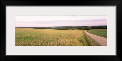 Road along a farmland, Midwest