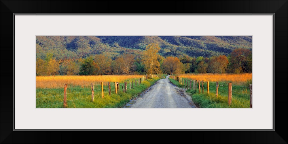 Giant landscape photograph of a gravel road with fenced field on either side, leading toward a horizon of trees and mounta...