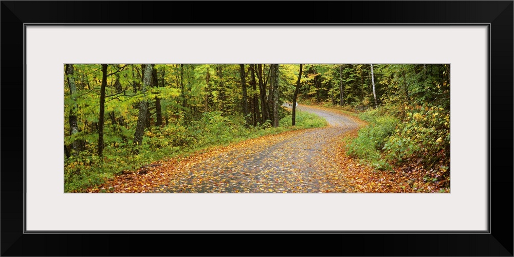 Road passing through a forest, Country Road, Peacham, Caledonia County, Vermont