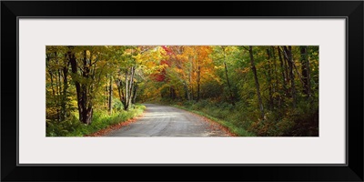 Road passing through a forest, Lamoille County, Vermont,