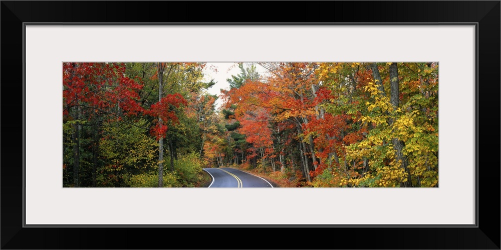 Road passing through a forest, U.S. Route 41, Keweenaw County, Keweenaw Peninsula, Michigan