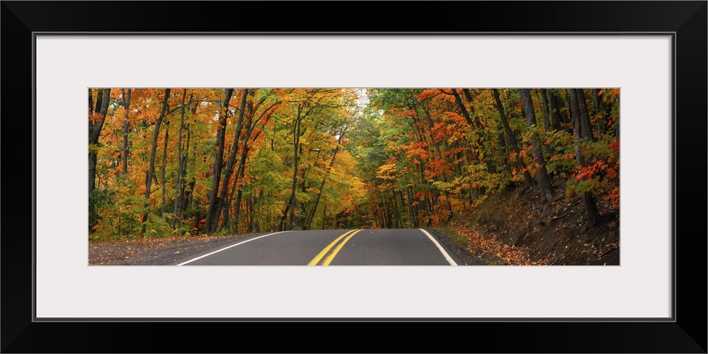 Road passing through a forest, U.S. Route 41, Keweenaw County, Keweenaw Peninsula, Michigan