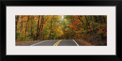 Road passing through a forest, U.S. Route 41, Keweenaw County, Keweenaw Peninsula, Michigan