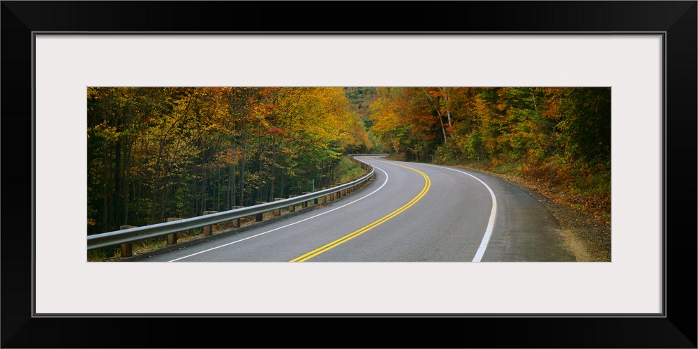 Road passing through a forest, Winding Road, New Hampshire