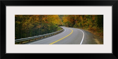 Road passing through a forest, Winding Road, New Hampshire