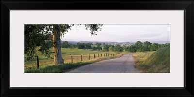 Road passing through a landscape, Country Road 208, Madera County, California