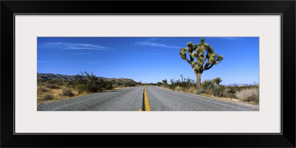 Road passing through a landscape, Mojave Desert, Joshua Tree National Monument, California