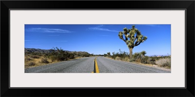 Road passing through a landscape, Mojave Desert, Joshua Tree National Monument, California