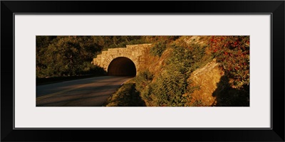 Road passing through a tunnel, Blue Ridge Parkway, North Carolina