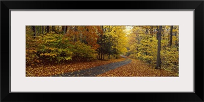 Road passing through autumn forest, Chestnut Ridge County Park, Orchard Park, Erie County, New York State,