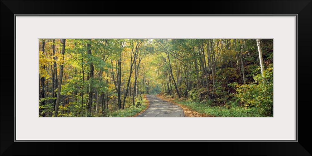 Wide angle photograph on a big canvas of a Golf Link Road leading into a dense forest of fall foliage, in Colebrook, New H...