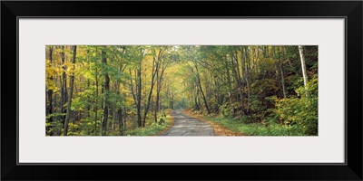 Road passing through autumn forest, Golf Link Road, Colebrook, New Hampshire,