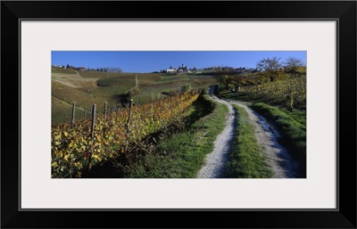 Road through Barolo Wine District Piemont Italy