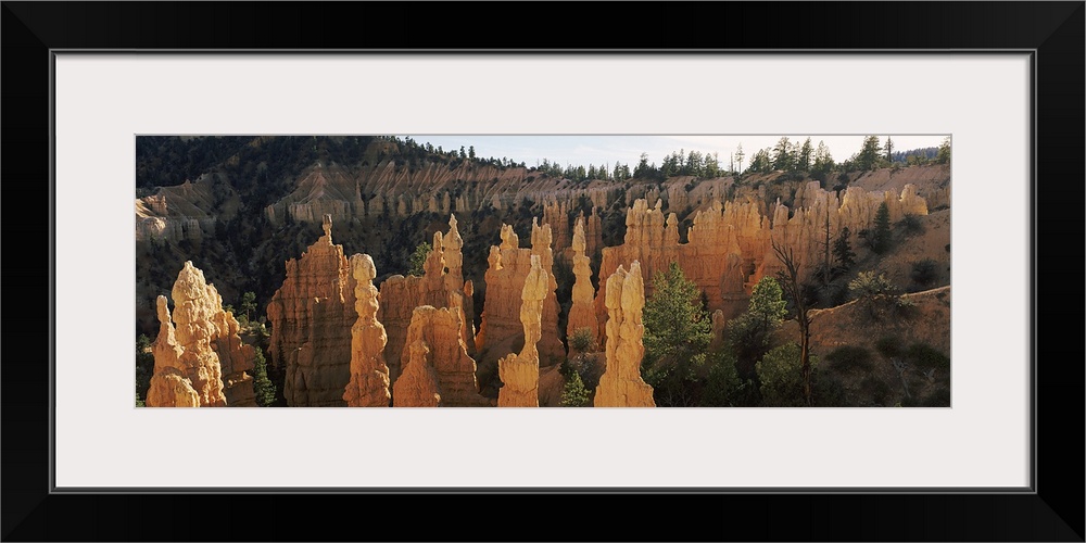 Fairland Canyon, Bryce National Park, Utah