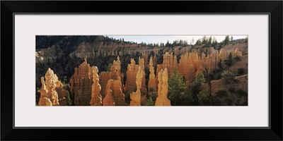 Rock formations in a canyon, Fairland Canyon, Bryce Canyon National Park, Utah