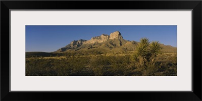 Rock formations on a landscape, Guadalupe Mountains National Park, Texas