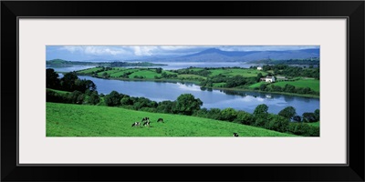 Rolling green fields Bantry Bay Cork Co Ireland