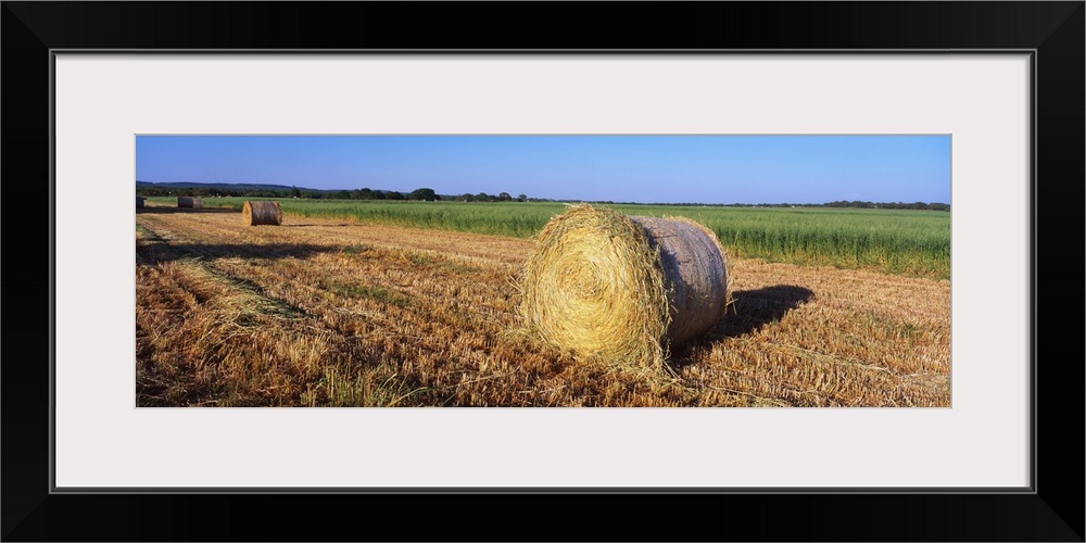 Round Bales of Hay TX