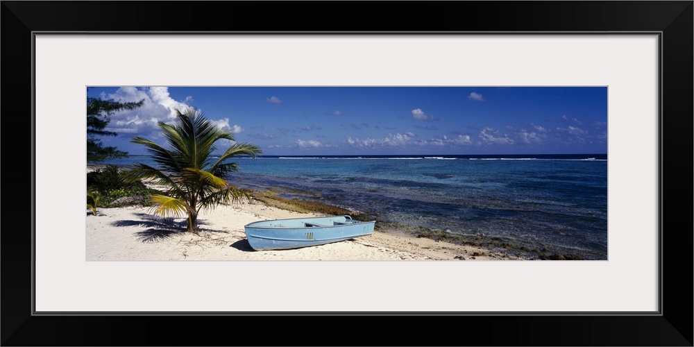 A single boat resting on the sandy shore next to a young palm tree and the tropical ocean water in the Caribbean.