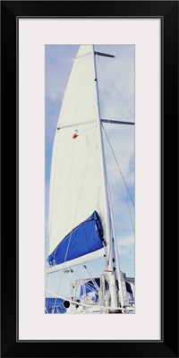 Sailboat in the sea, Gulf of California, La Paz, Baja California Sur, Mexico