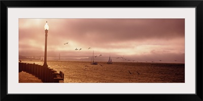 Sailboats in the sea, San Francisco Bay, Golden Gate Bridge, San Francisco, California