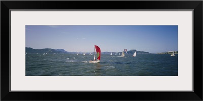 Sailboats in the water, San Francisco Bay, California