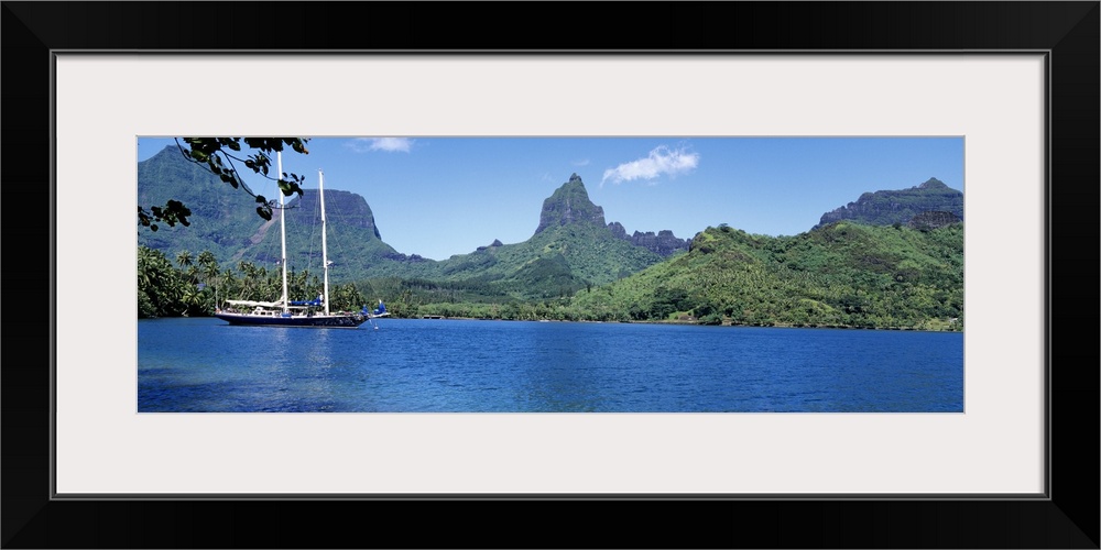 Sailboats sailing in the ocean, Opunohu Bay, Moorea, French Polynesia