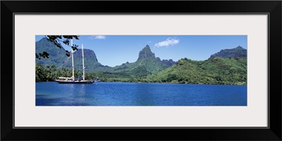 Sailboats sailing in the ocean, Opunohu Bay, Moorea, French Polynesia