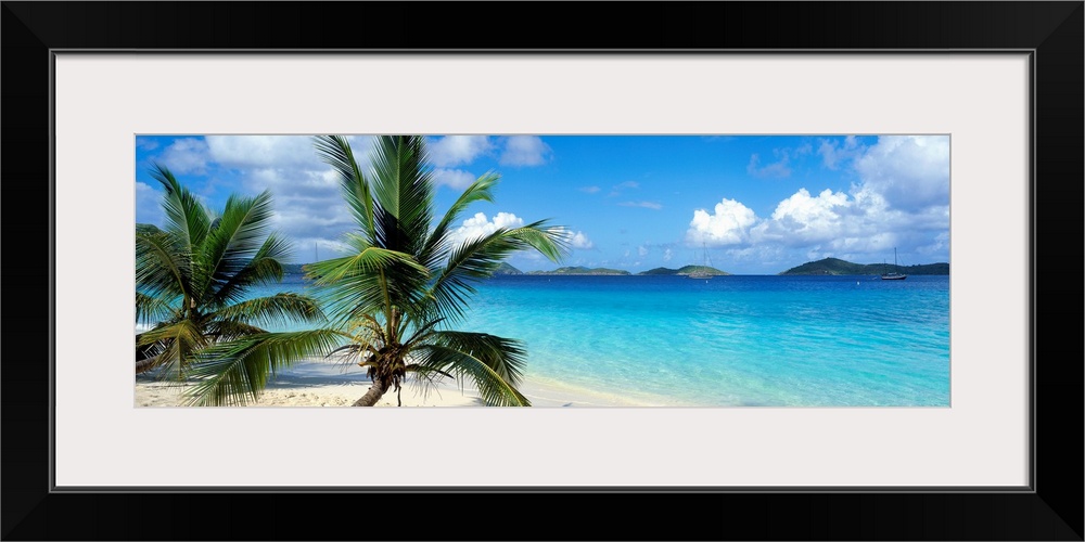 A panoramic photograph of a couple palm trees sitting on the Salomon Beach in the Virgin Islands.  The mountains in the ba...