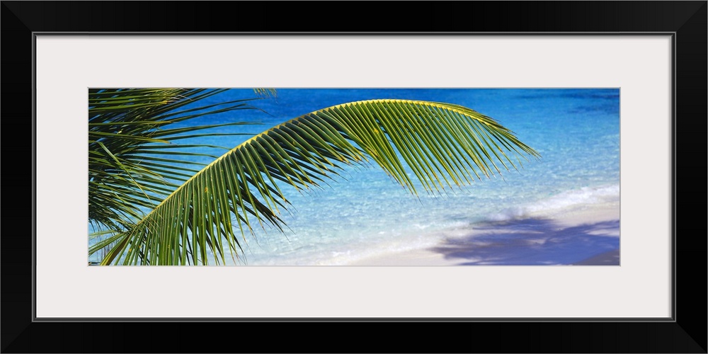 Relaxing panoramic photo of the picturesque Salomon Beach in the Virgin Islands National Park in St. John in the US Virgin...