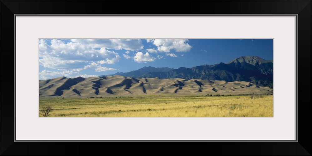 Sand dunes along a grassy field, Colorado