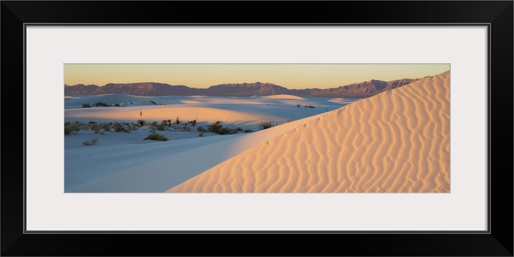 Sand dunes and Yuccas at sunrise, White Sands National Monument, New Mexico, USA.