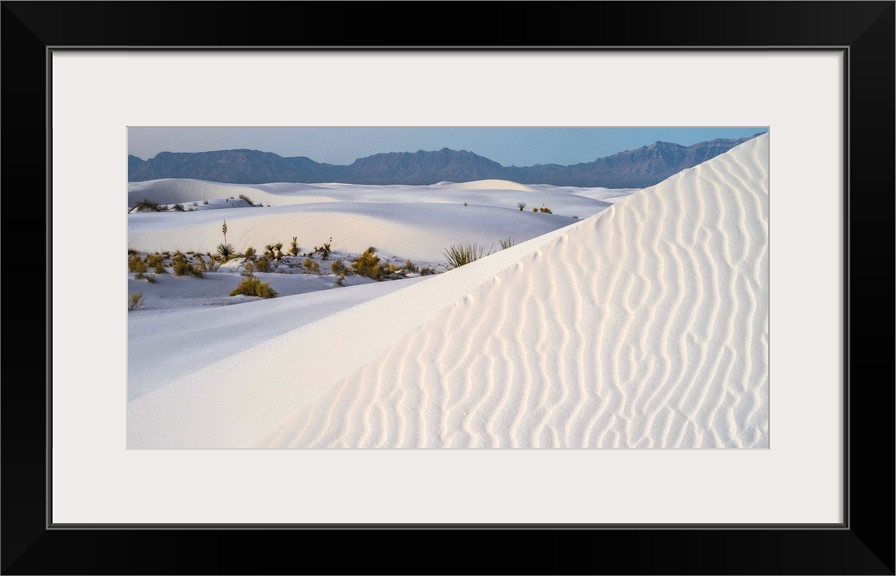 Sand dunes and Yuccas at White Sands National Monument, New Mexico, USA.