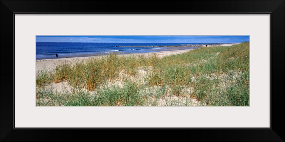 Sand Dunes Blaavand Huk Jutland Denmark