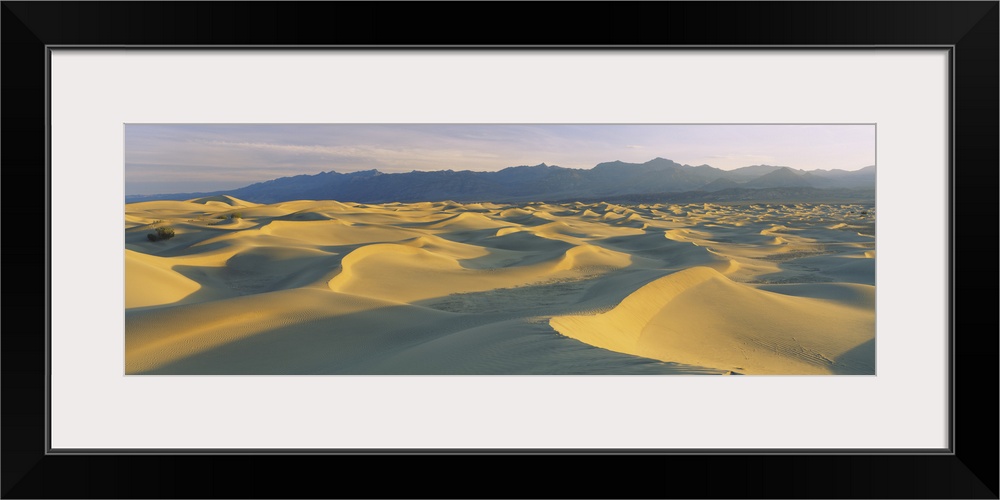 Sand dunes in a desert, Grapevine Mountains, Mesquite Flat Dunes, Death Valley National Park, California