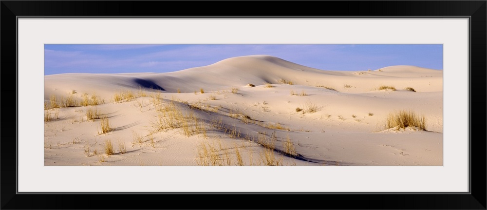 Sand dunes Monahans Sandhills State Park TX