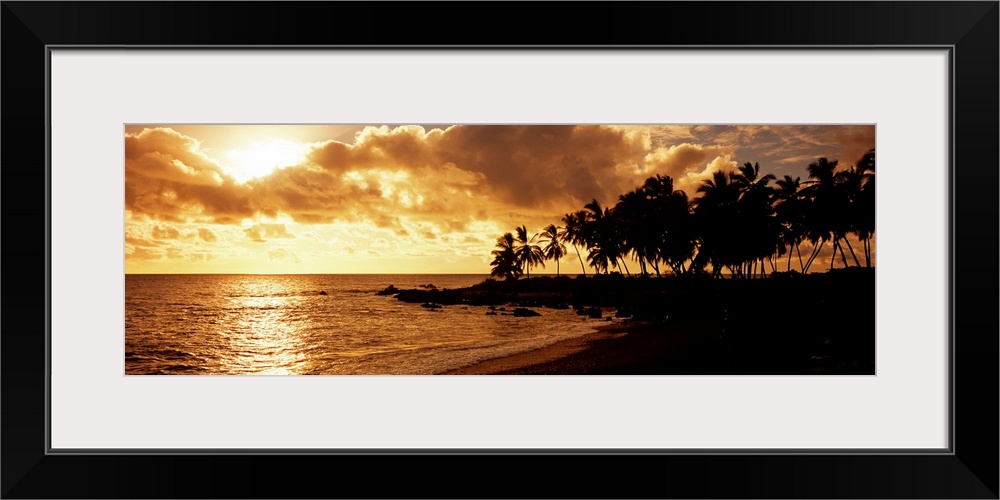 A panoramic photograph of palm trees lining the shore of a tropical beach as the sun sinks behind the clouds.