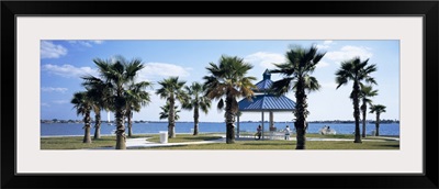Shade and palm trees in a park, Bayfront Park, Sarasota Bay, Sarasota, Florida