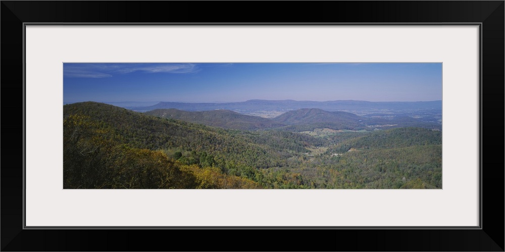 Panoramic view of the sprawling forest over the hilly landscape of Virginia on a clear, sunny day.