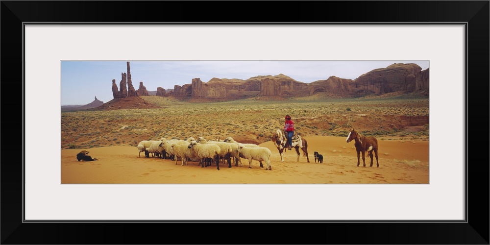 Shepherd herding a flock of sheep, Monument Valley Tribal Park