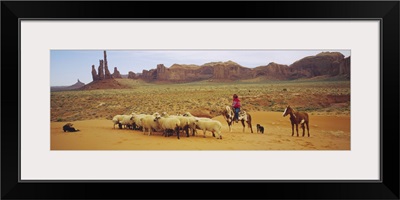 Shepherd herding a flock of sheep, Monument Valley Tribal Park