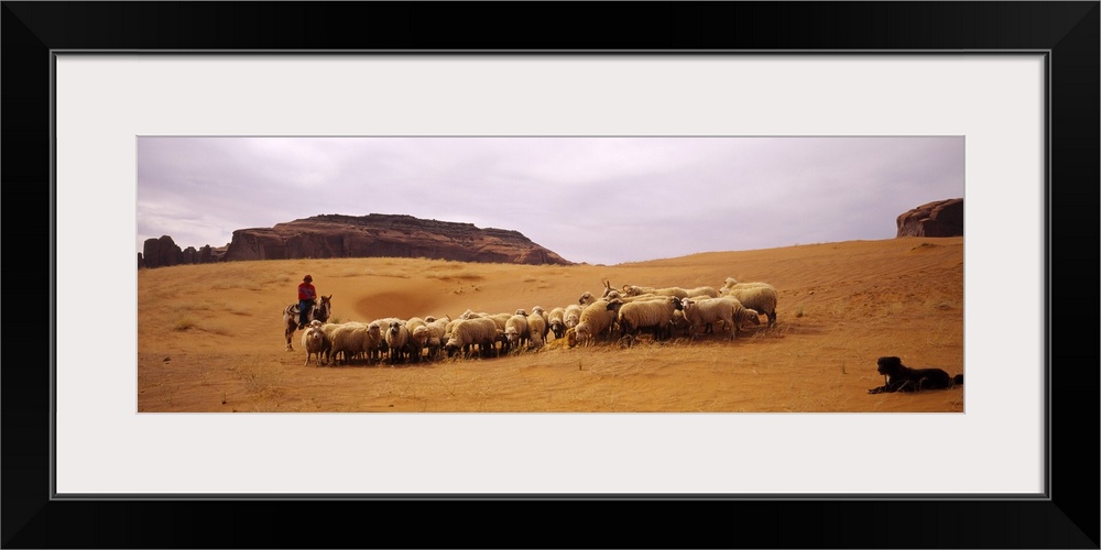 Shepherd herding a flock of sheep, Monument Valley Tribal Park