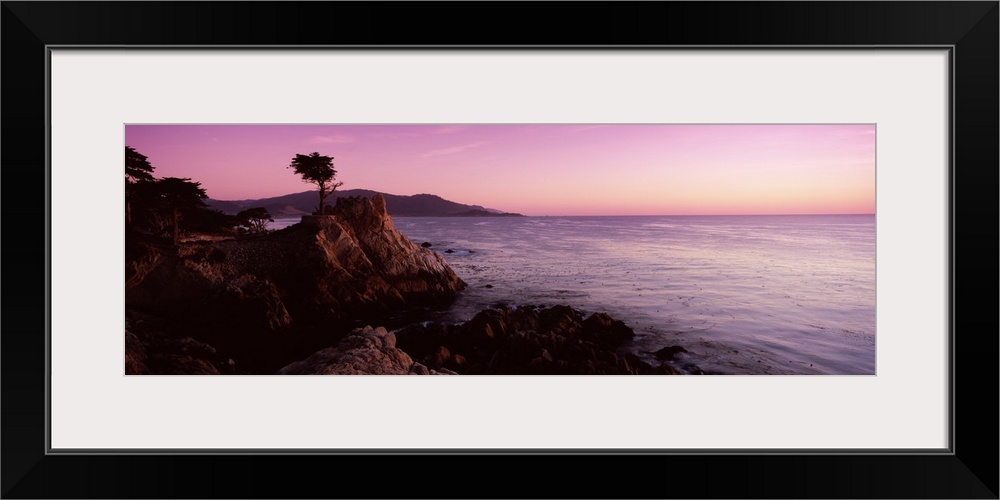 Landscape photograph on a large wall hanging of a silhouetted cypress tree on the edge of a rocky cliff near the water, ne...