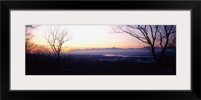 Silhouette of bare trees on a landscape, Catskill, New York State